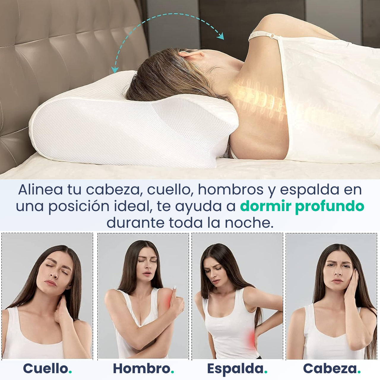 Almohada Cervical Restora ErgoMax
